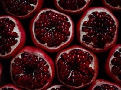 #5 Beleženje trenutaka:&nbsp;nar