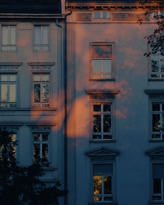 Beleženje trenutaka: lepak